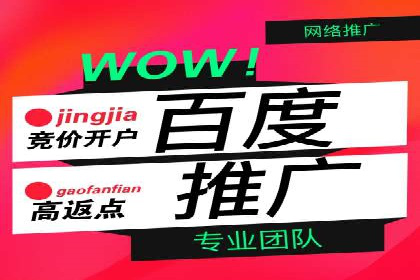 百度优化推广案例分享：关键词策略的巧妙运用
